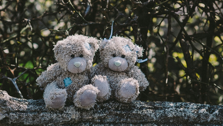 Immunerősítés belülről – őszi rituálék a testi-lelki védelemért teddy bears