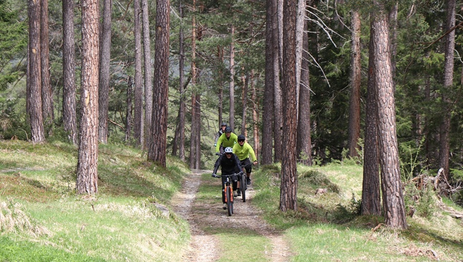 biciklis család erdő