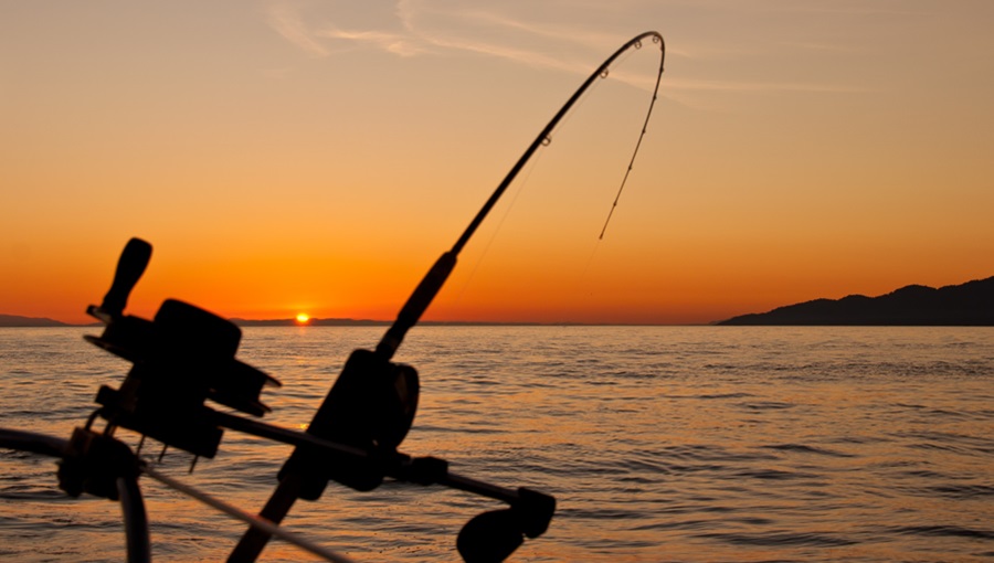horgászbot naplemente