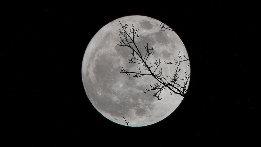 éjjeli hold faágak