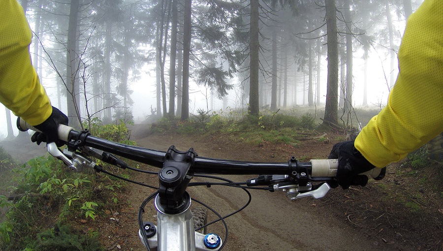 bicikli erdő ősszel