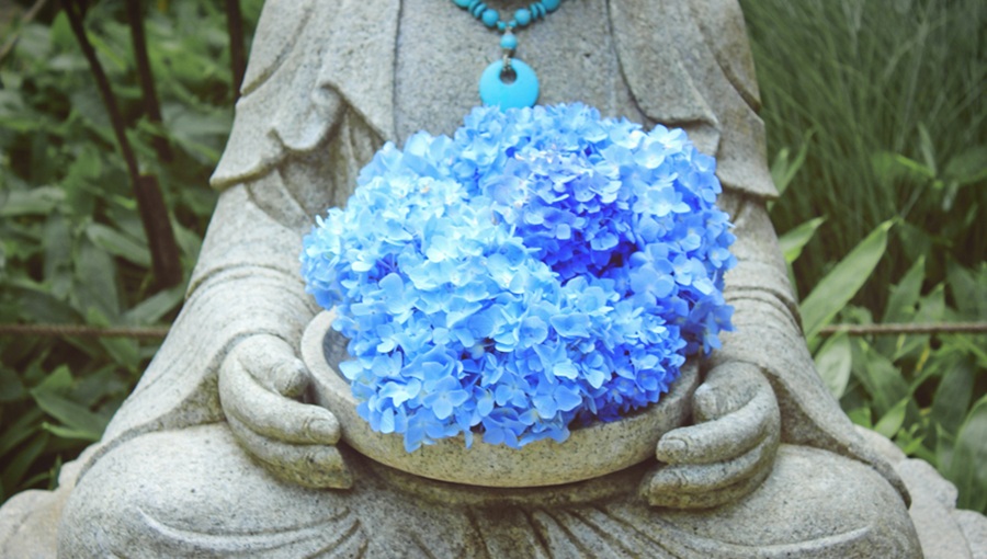 buddha szobor kék cserepes virág