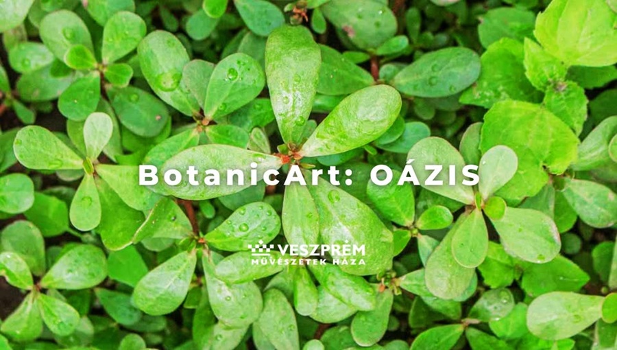 botanic art veszprém