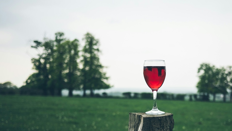 Dél-Balatoni Sétáló Kóstoló Rádpusztán túrázás bor