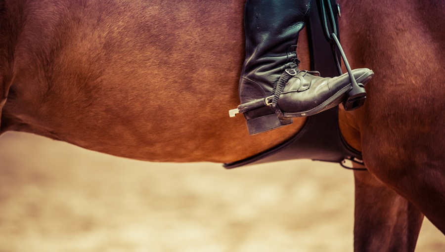 horses feet