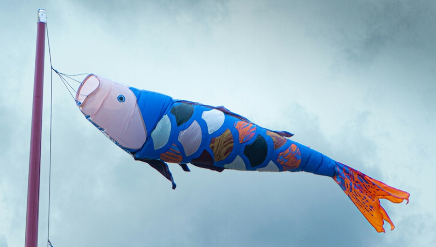 fish decoration